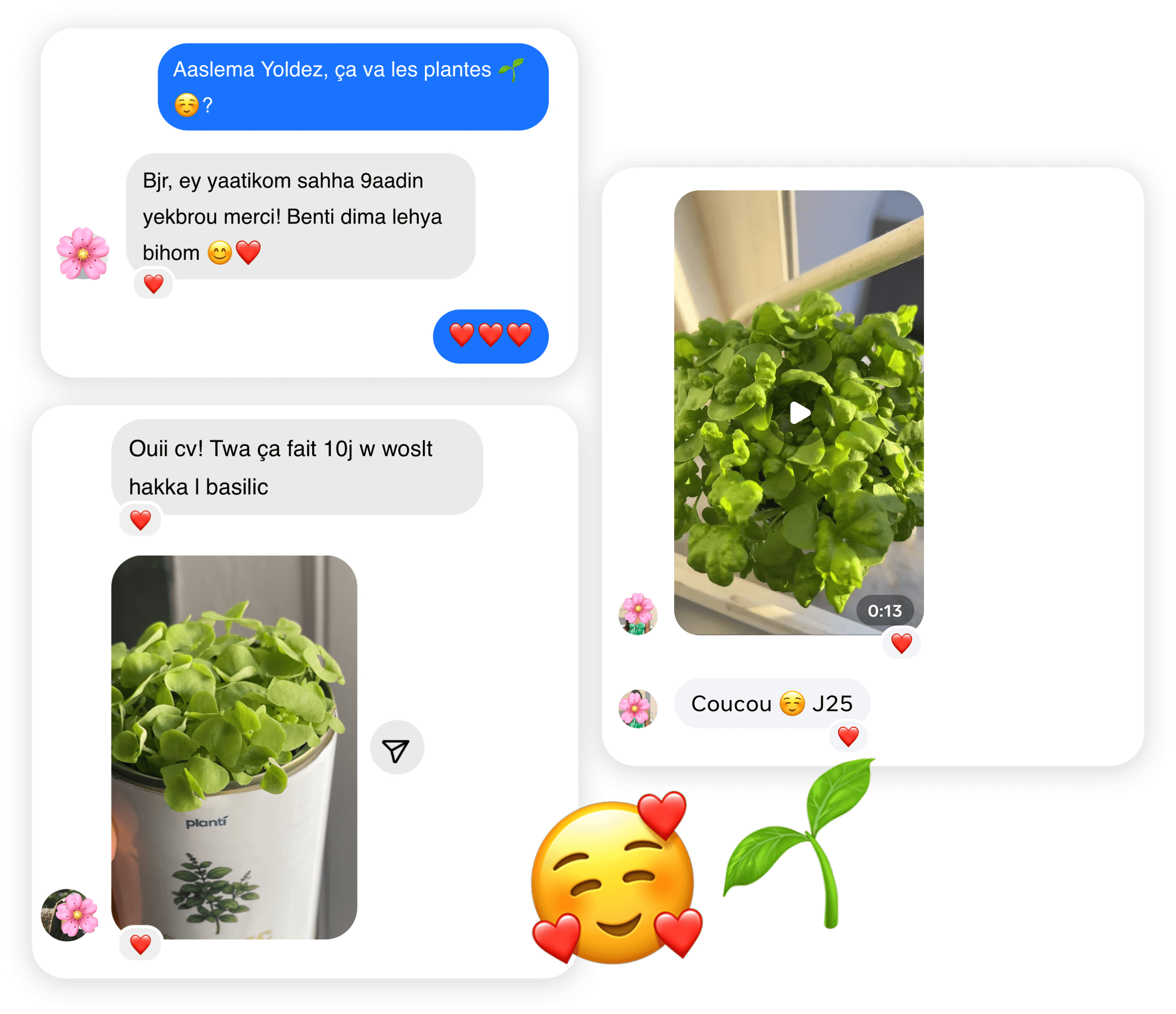 آراء عملاء Planti - Reviews from satisfied customers